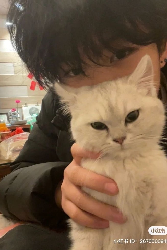 김태겸