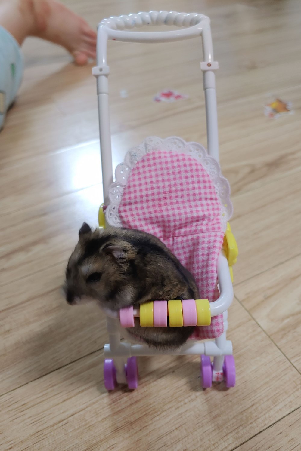 토토