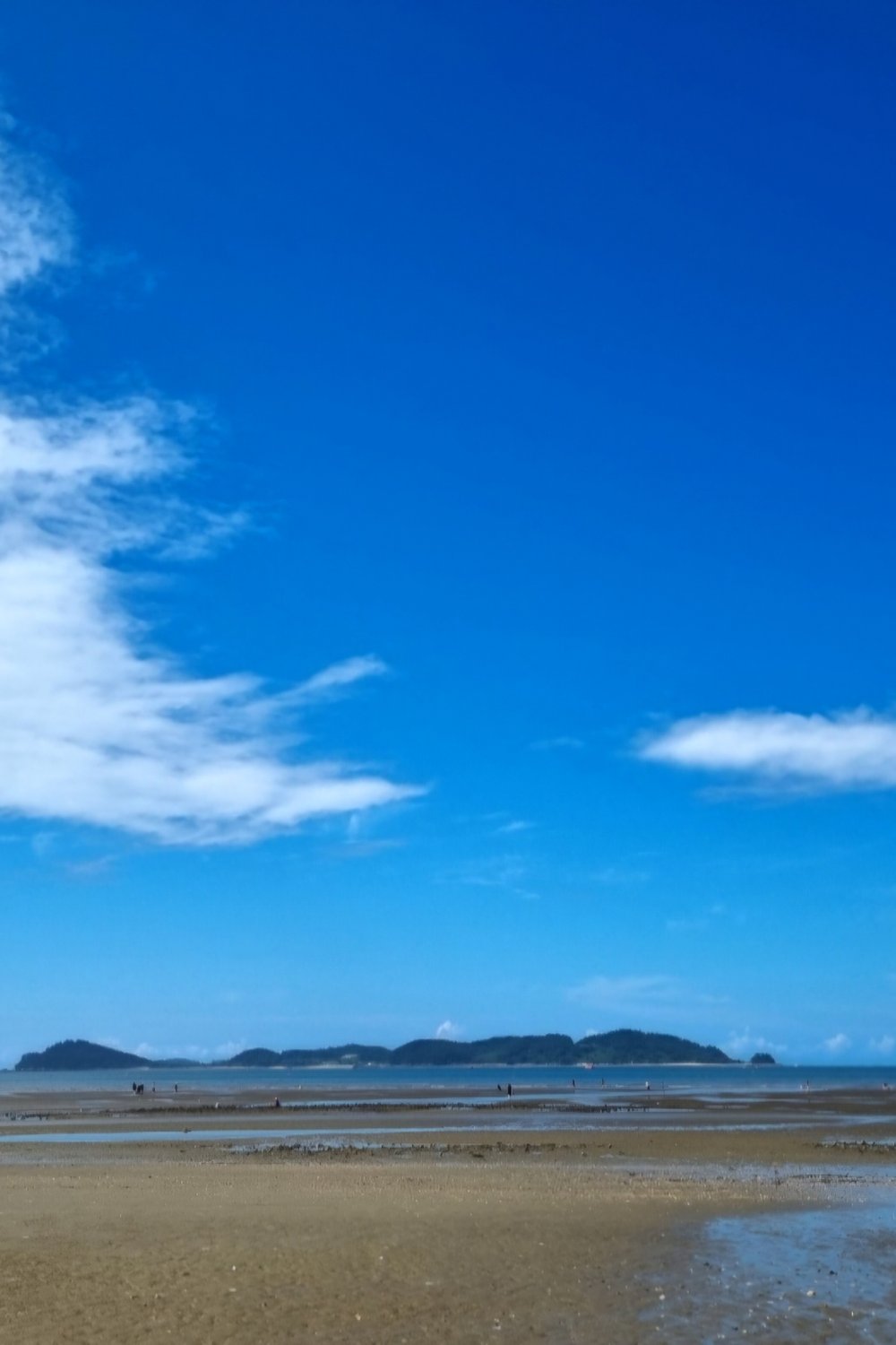 이주하