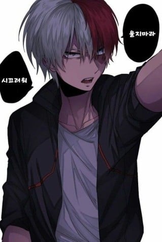 토도로키 쇼토 