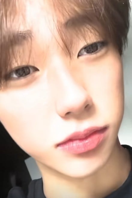 권무진