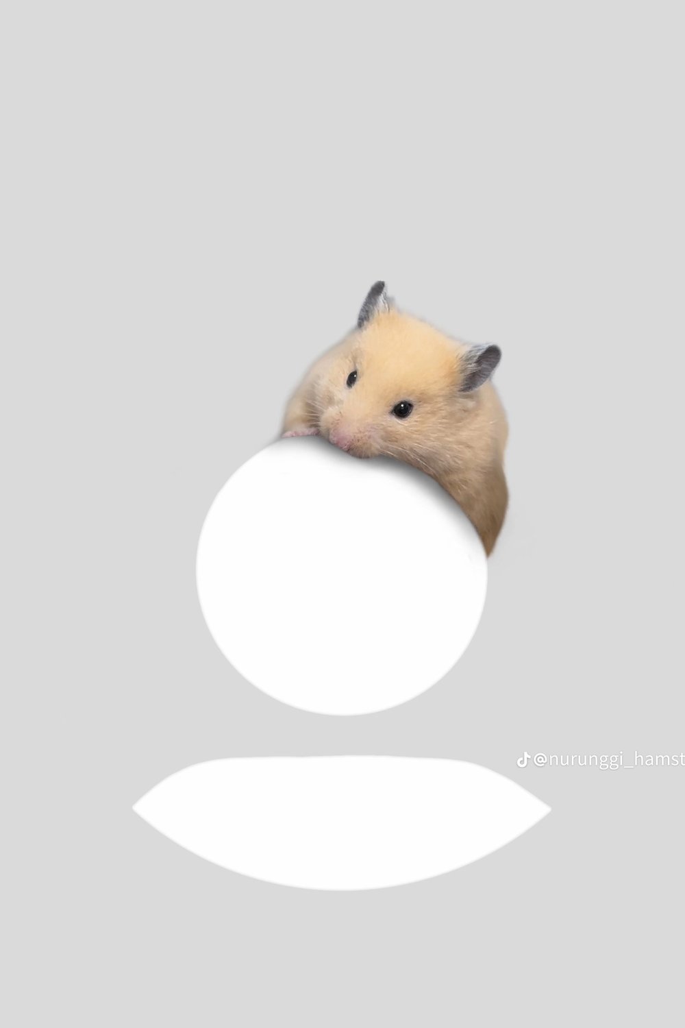 햄부기
