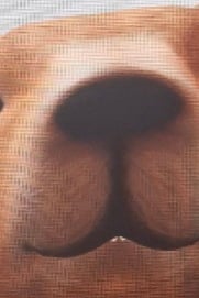 jwodnxm0