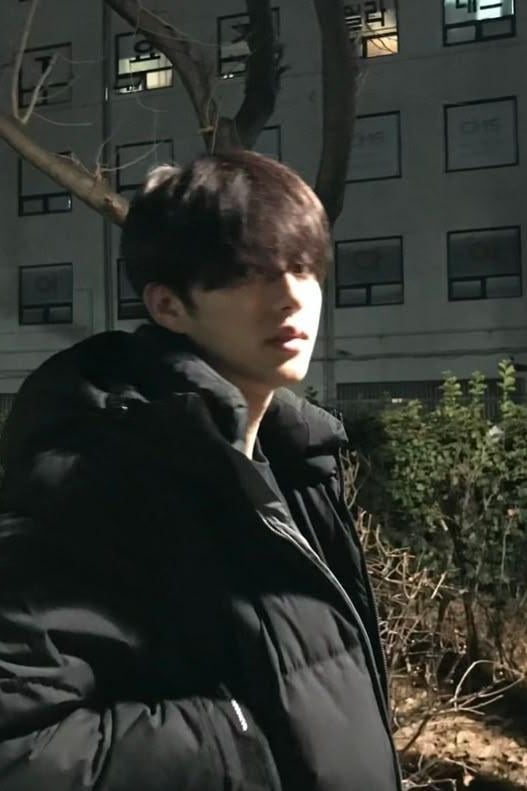 이진우