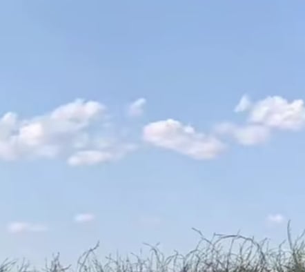 세린