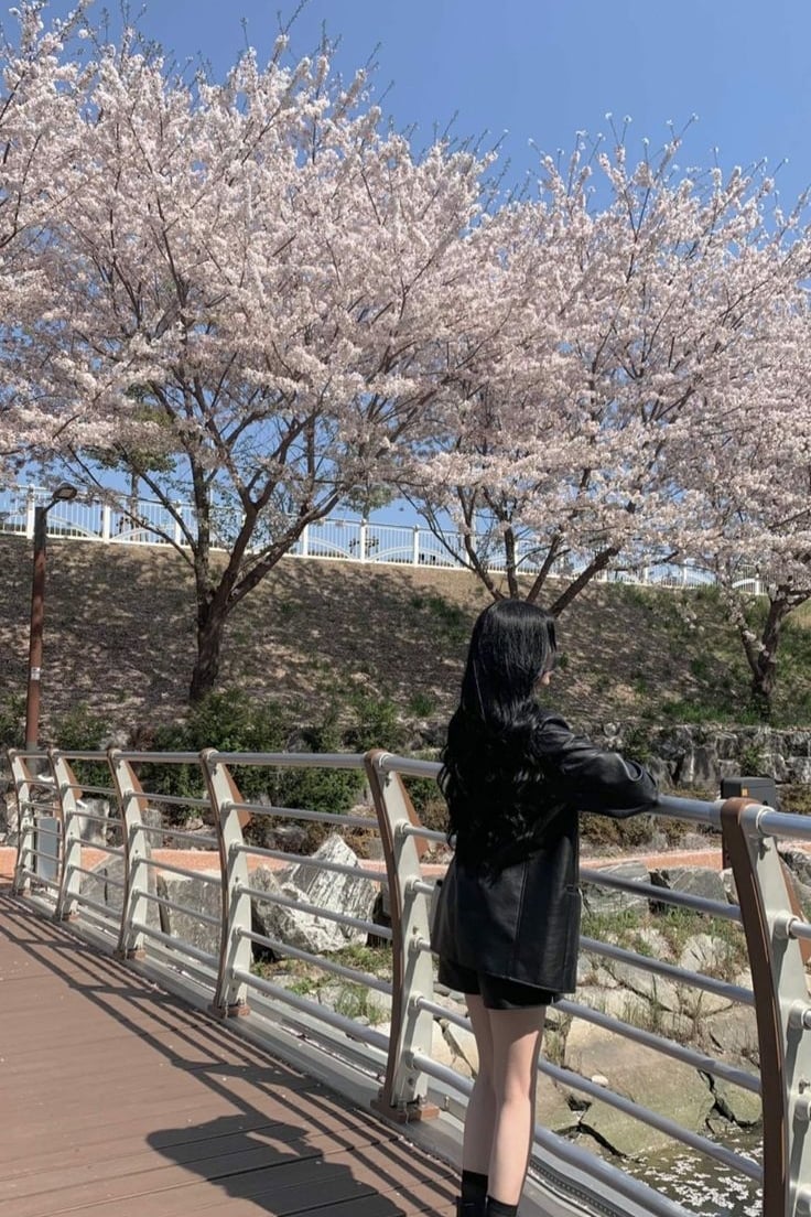 이윤아