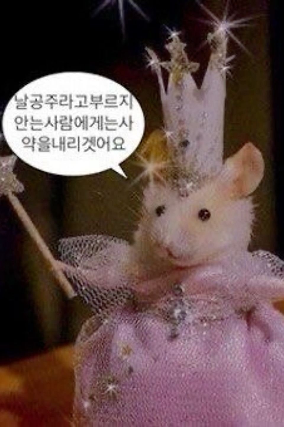 공주병 환자 (이민서)