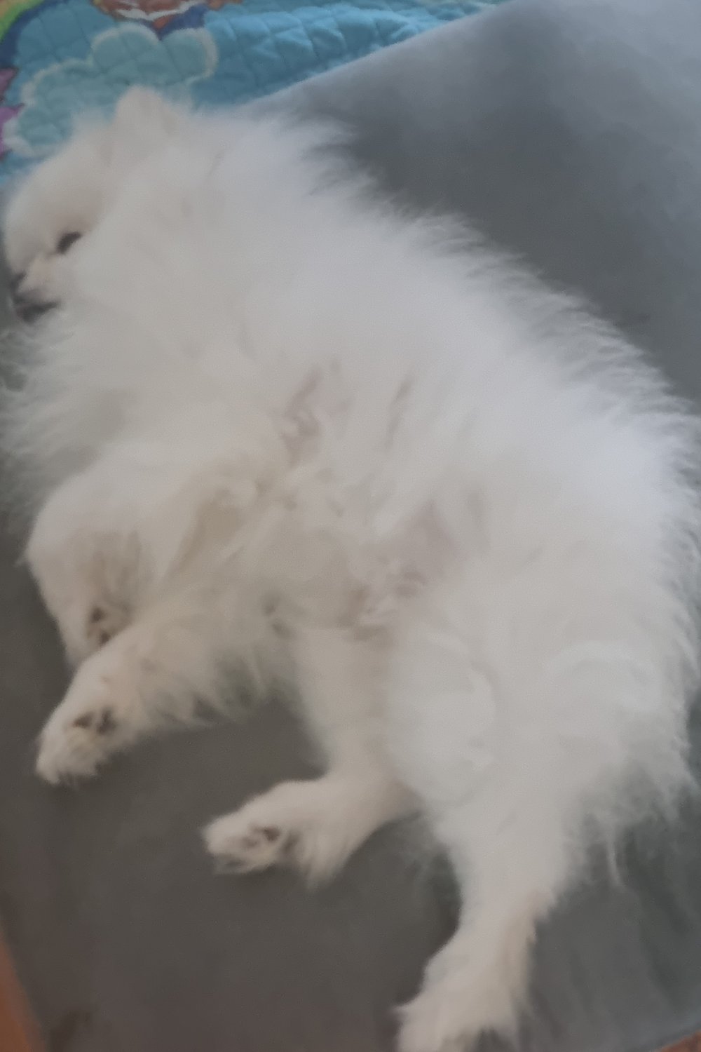 겨울