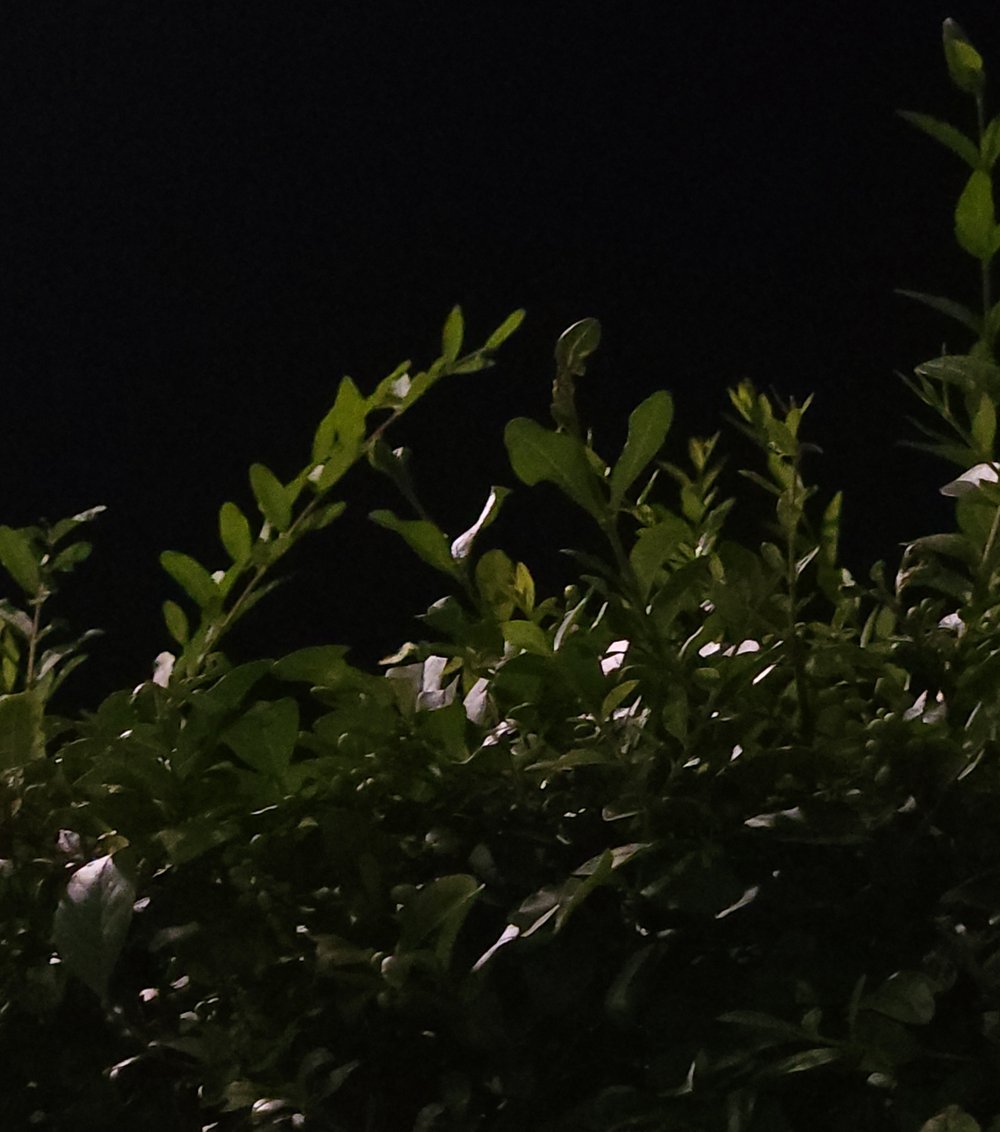 김 석