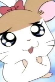 애