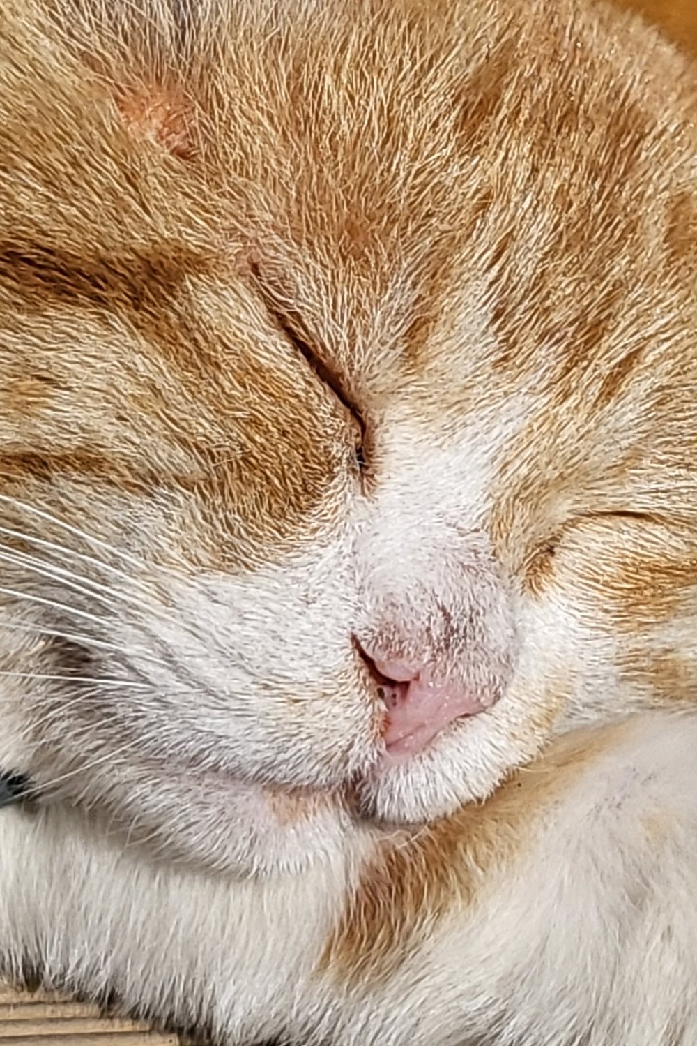 최강혁