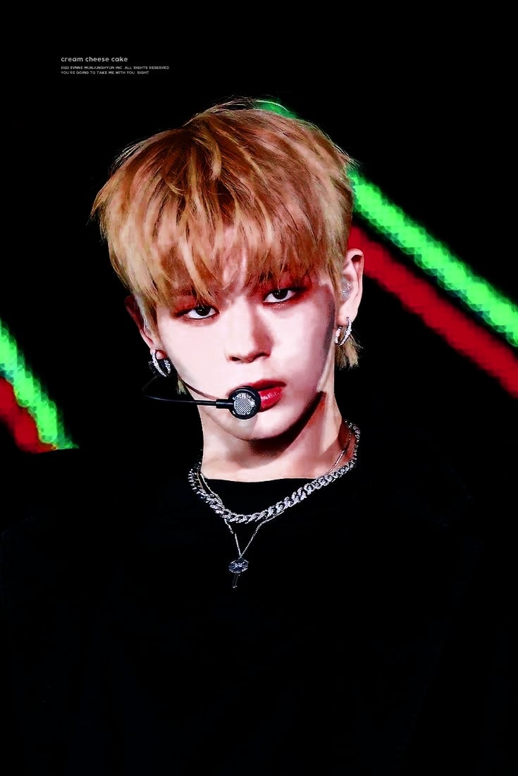 문정현