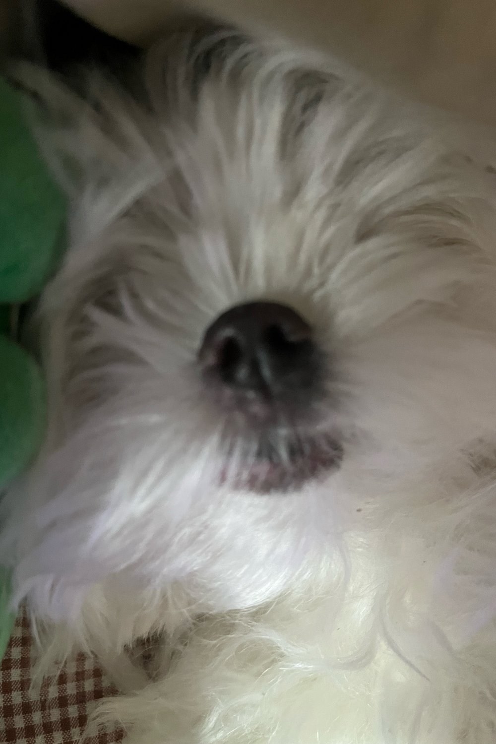 릴러말즈
