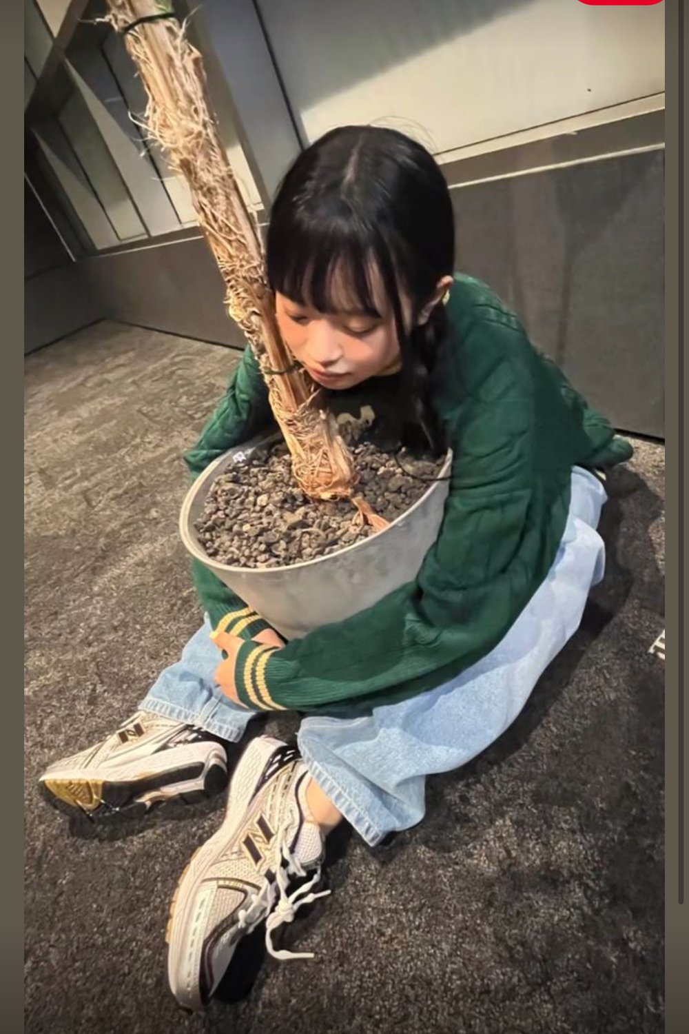 한아진