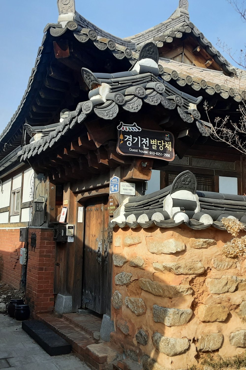 신주아