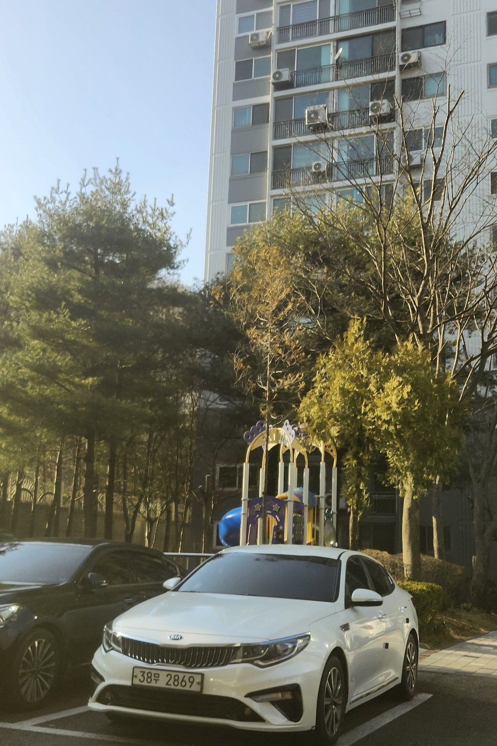 이다온,양인서