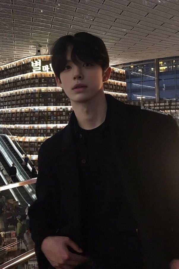 박서안