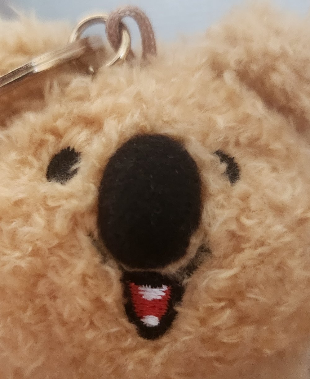 카피
