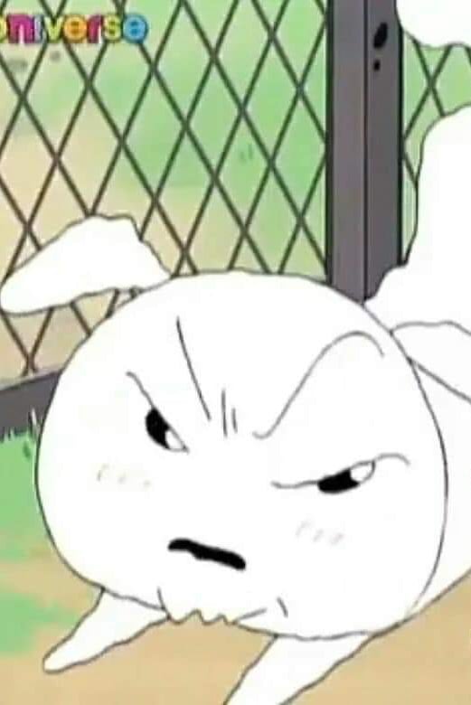 흰둥이