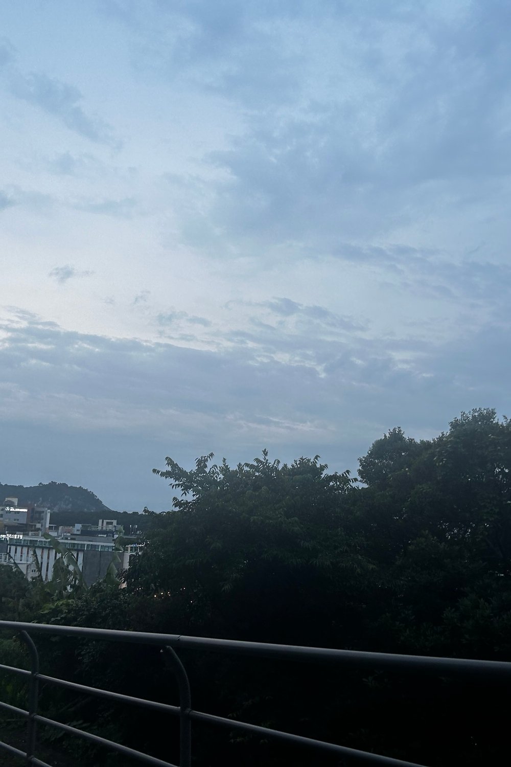 이나연