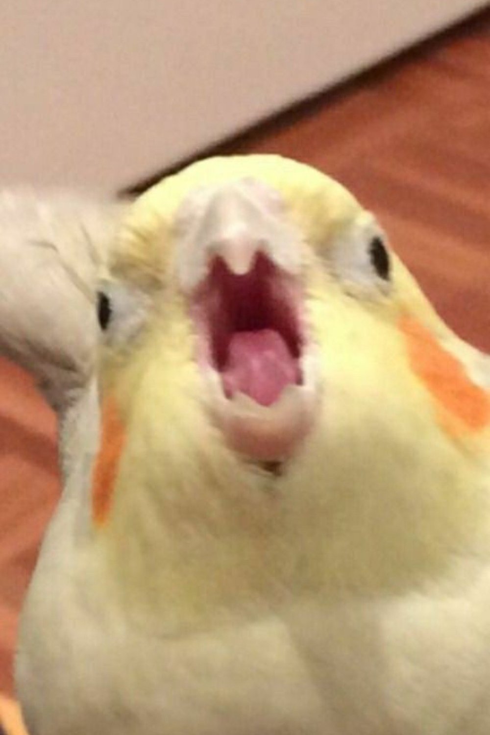 율