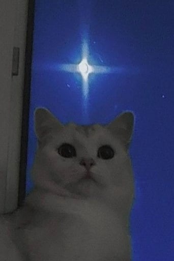 고양이
