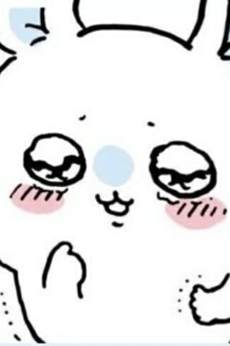 모몽가