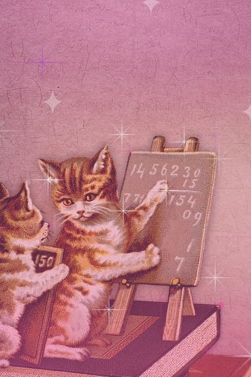 아기고양이