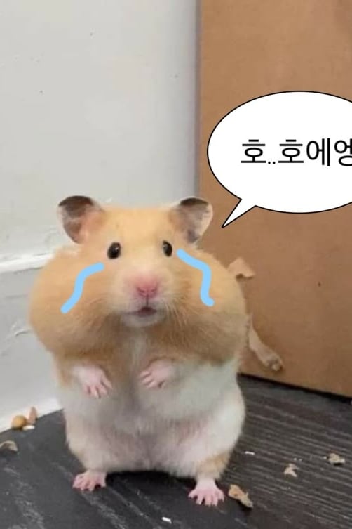 햄찌
