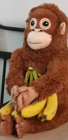 우끼