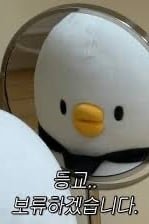박설아