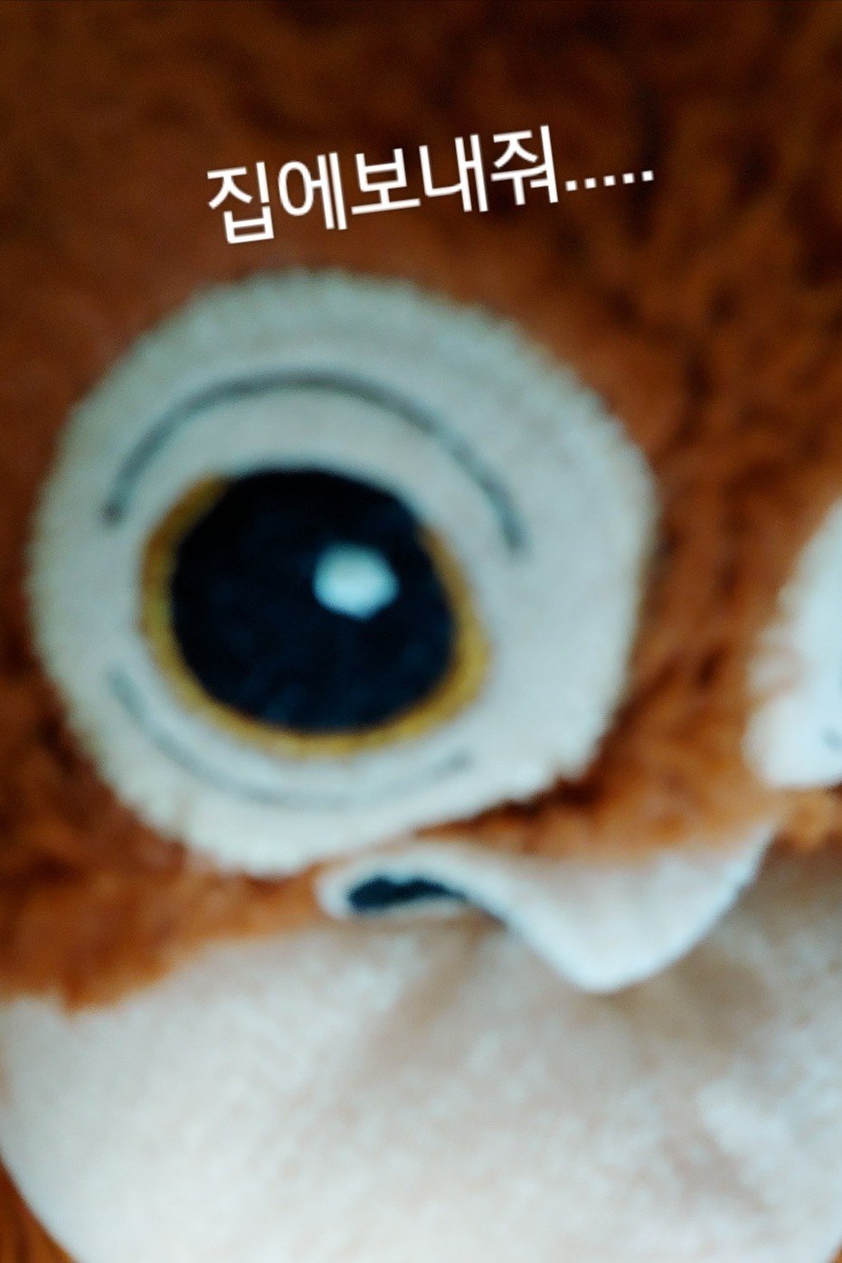 오탄이