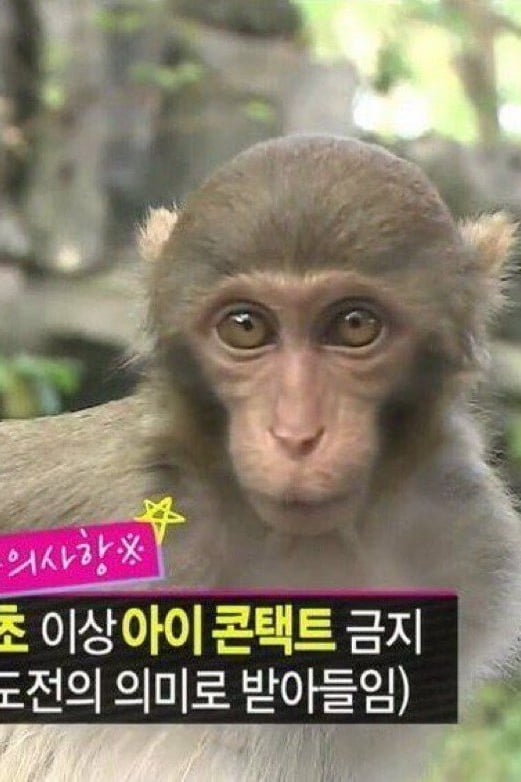 엘리바니르 폰 드리얼