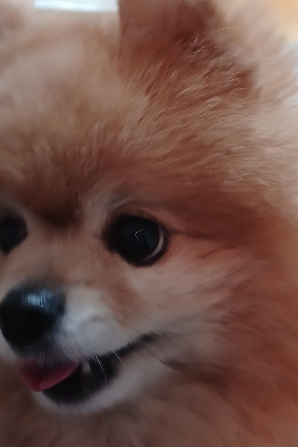 하늘이