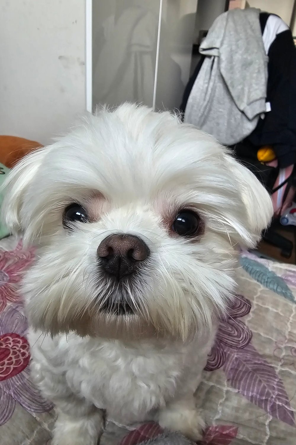 강준
