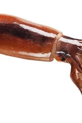 초장에 찍힐 위기에 있는 오징어