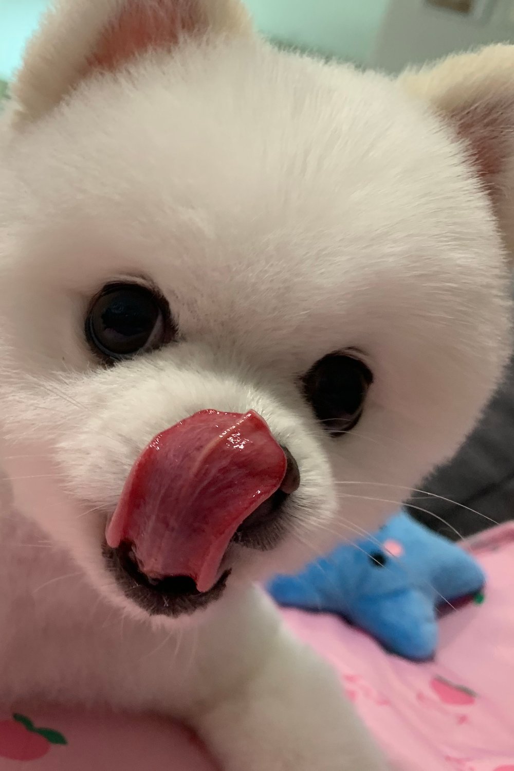 안녕