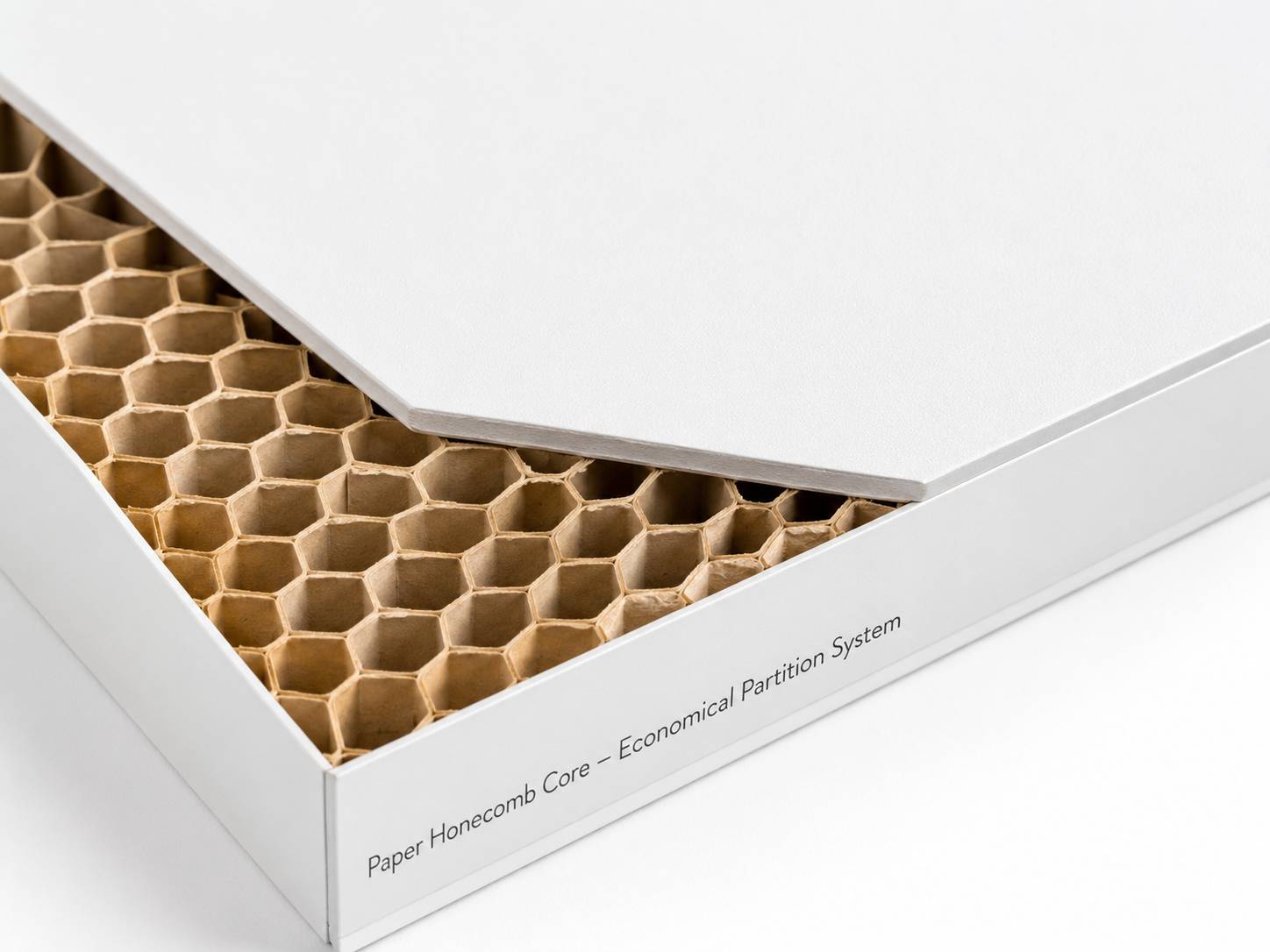 Paper honeycomb cleanroom panel