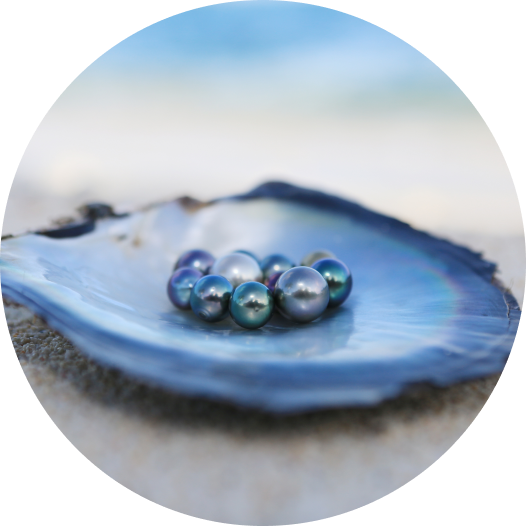 Robert WAN: Premier Tahitian Pearl Specialist | Exquisite Robert WAN: Premier Tahitian Pearl Specialist | Exquisite