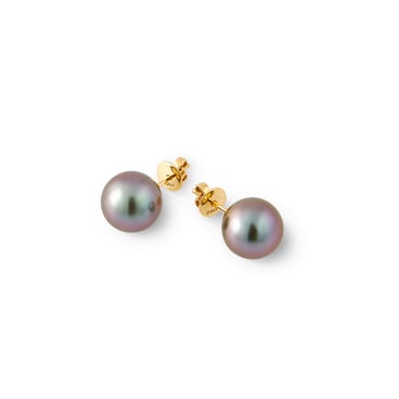 Stud Earrings with Tahitian Pearl