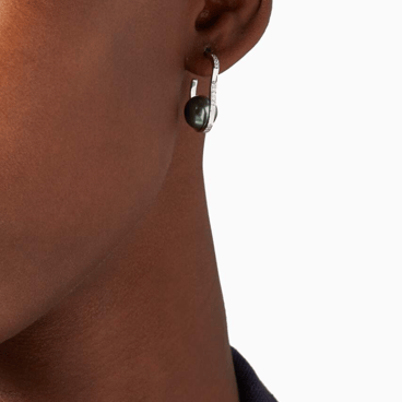 Pinctada Diamond Hoop Earrings in Gold