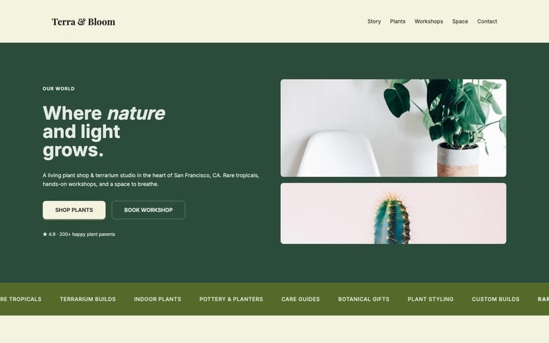 Wellness & lifestyle brand template
