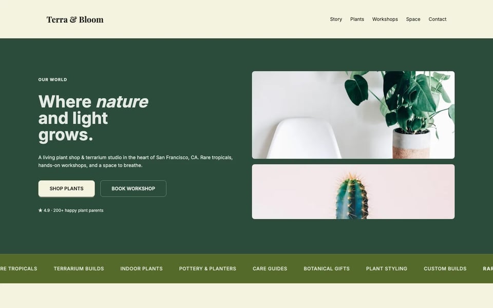 Wellness & lifestyle brand
