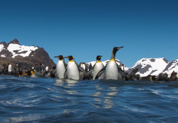 14-night ushuaia roundtrip