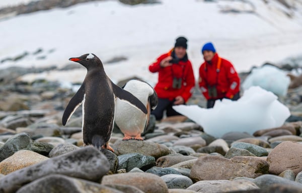 18-night ushuaia roundtrip