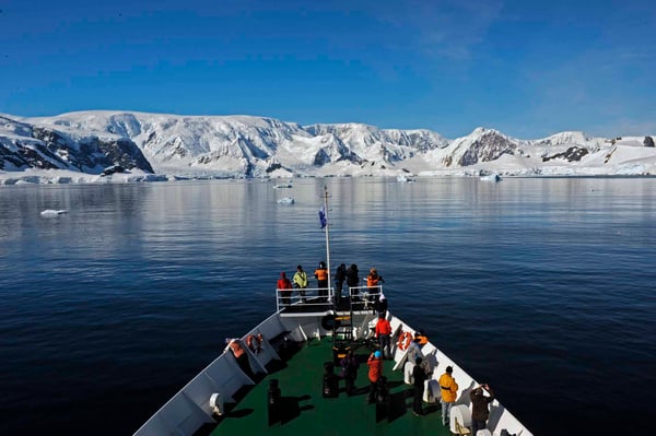 Антарктика - Наблюдение за китами