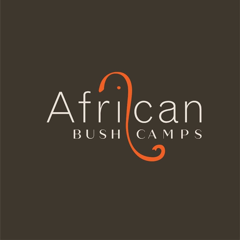 African Bush Camps
