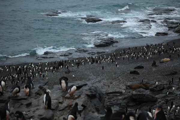 South Orkney Islands