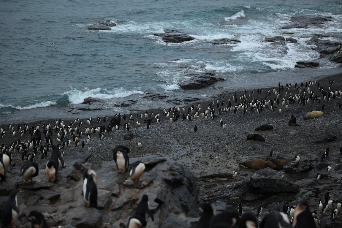Südliche Orkneyinseln