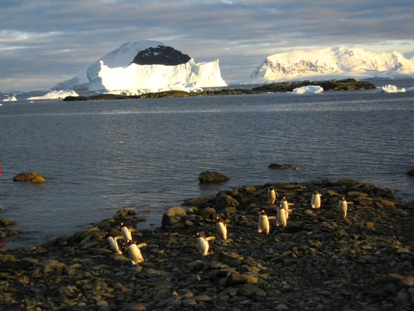 Isla Danco